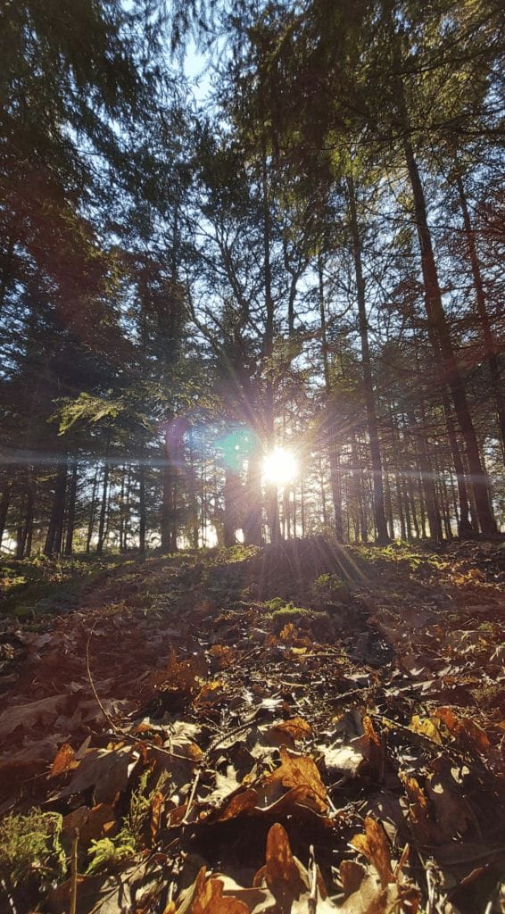 Okeford Hill Circular Walk