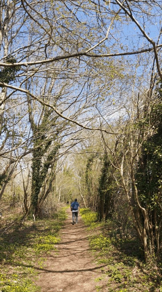 Tarrant Valley Circular Walk
