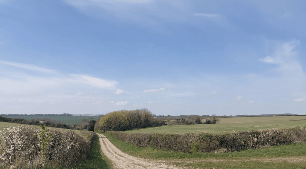 Tarrant Valley Circular Walk