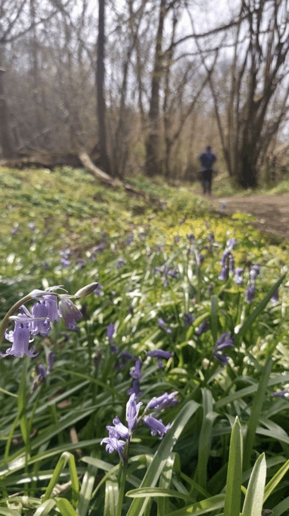 Tarrant Valley Circular Walk