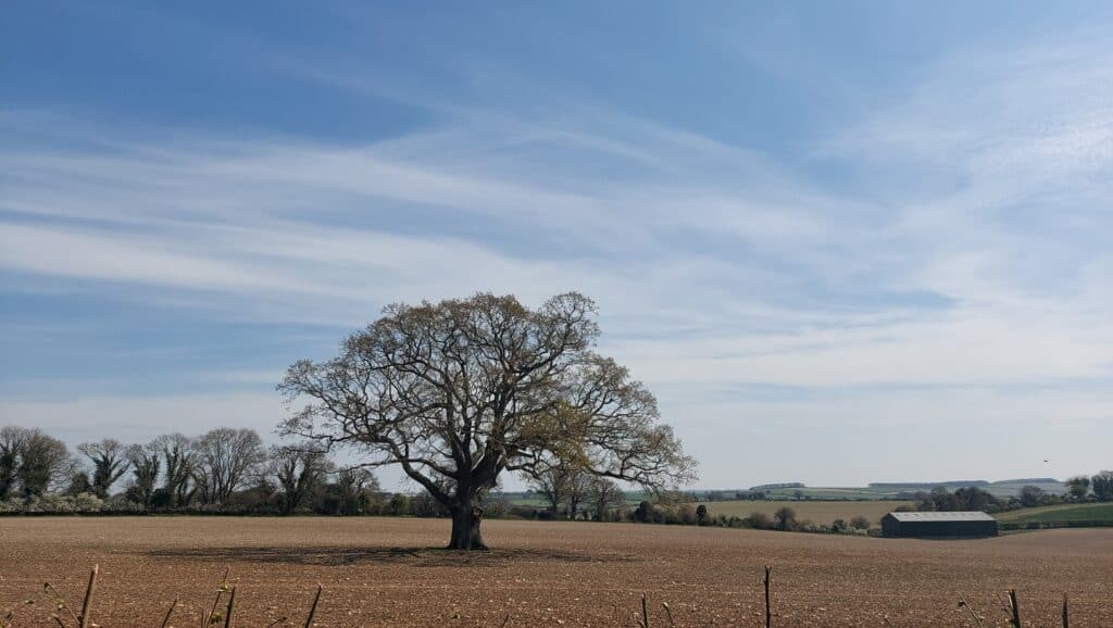 Tarrant Valley Circular Walk