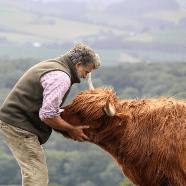 Cameron Farquharson sharing a moment with Gladis the highland cow recently chased to her death by two dogs.