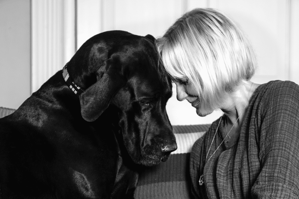 Hermione Norris with Ophelia, her Great Dane © Lucy Sewill