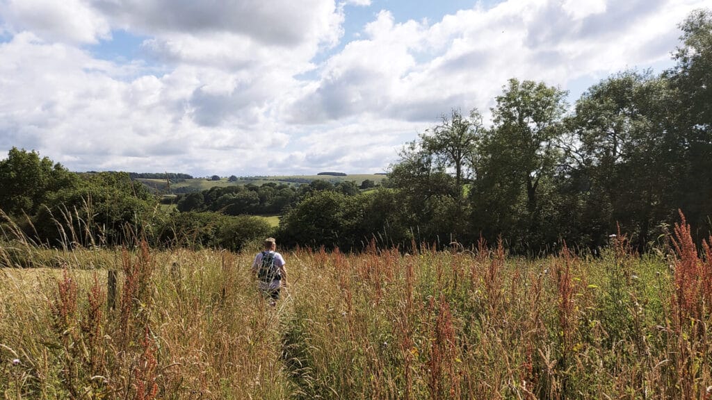 dog walking route from Wardour Castle