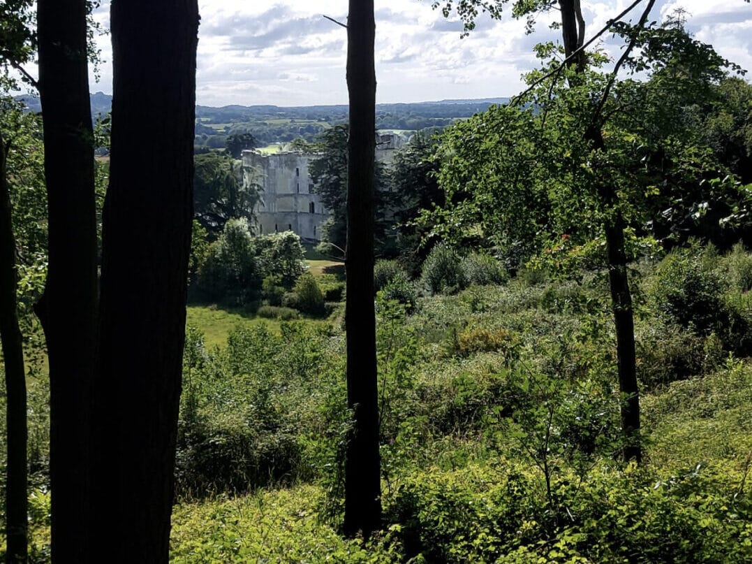walk from Wardour Castle