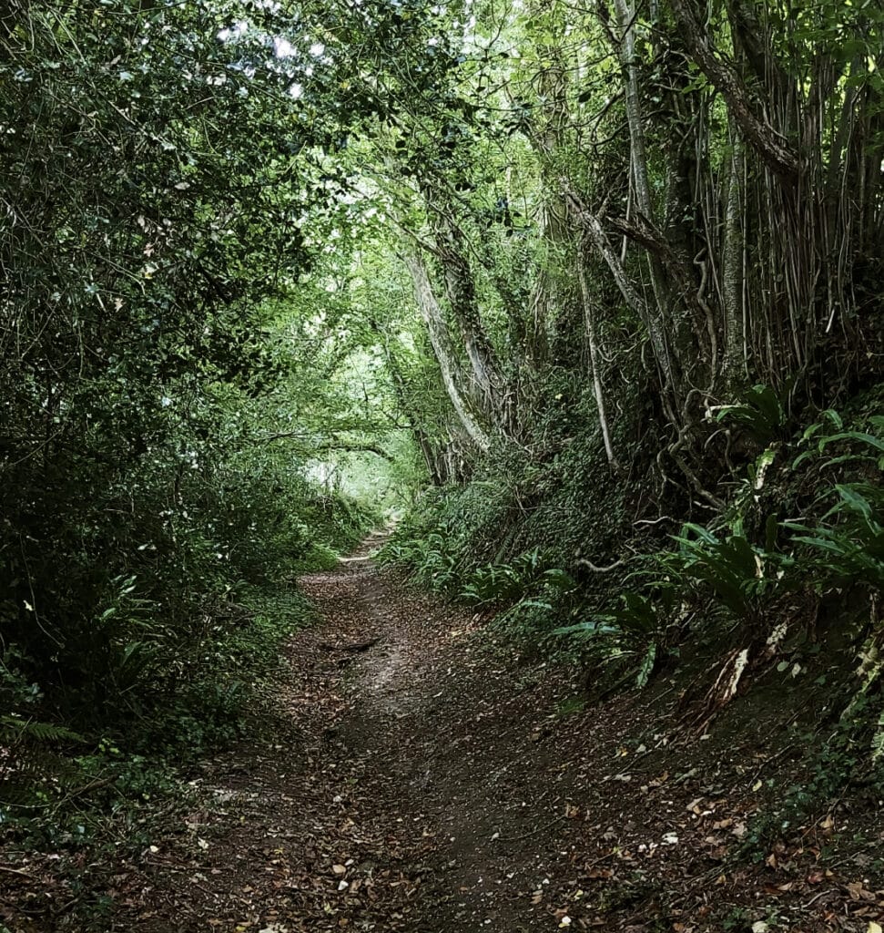 wiltshire holloways