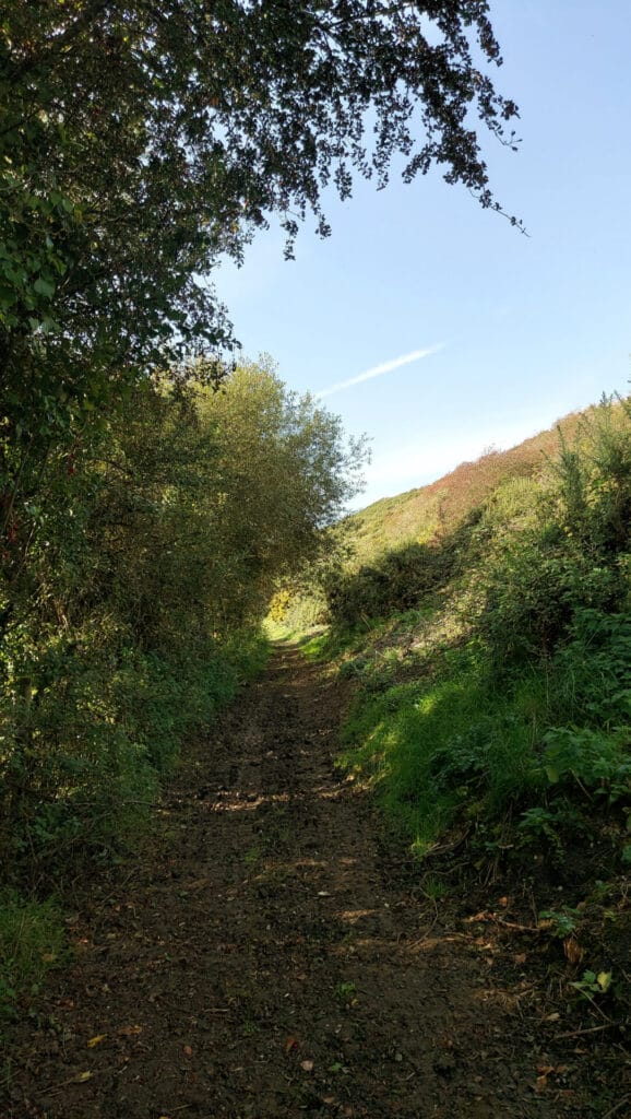 Ringstead Bay circular Dorset walk